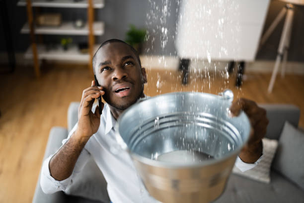 Best Professional water damage repair  in Seaside, OR