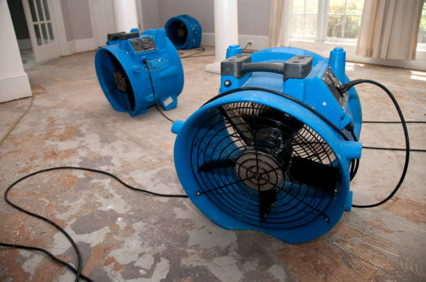 Best Water damage cleanup near me  in Seaside, OR