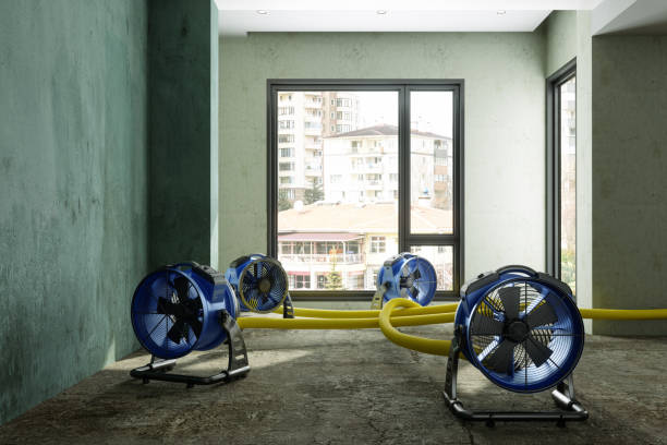 Best Residential water damage restoration  in Seaside, OR